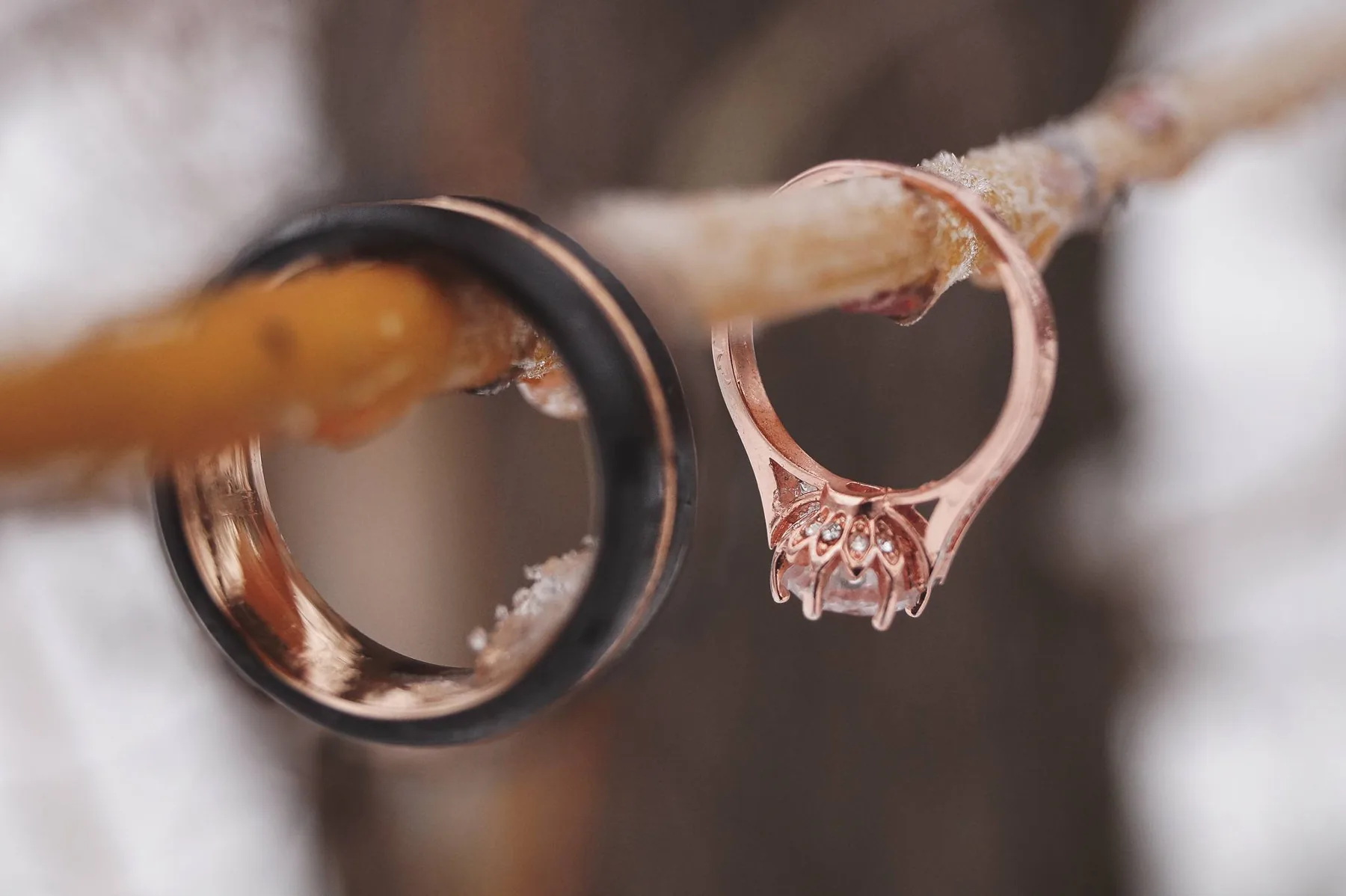 Two wedding rings hanging from a tree branch