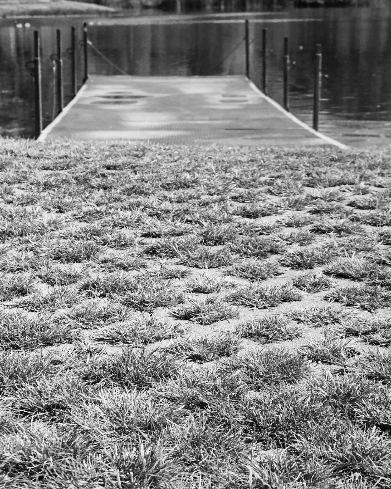 Black and white walkway through tall grass to the water